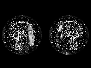 Мушки и женски мозак раде другачије, први пут открили научници са Станфорда