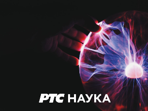 Приче из природе:   Биљке из леденог доба