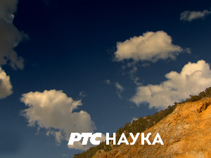 Екологери: Стапари