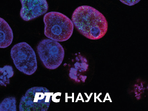 Наука у селу:	СМС водич за заштиту биља