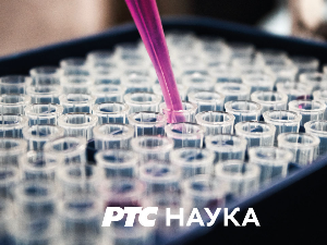 Савин врт: Аутокефалност