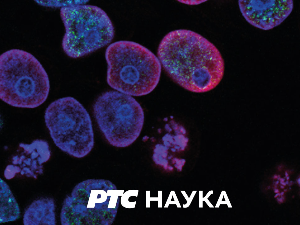 Наука у покрету: Хормони и средње животно доба