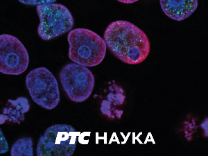 	Како мисли Академија: Генетика