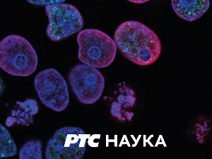 Резервати природе, паркови за природу и људе:	Ђердап, прича друга