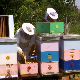 Меленци: Које олакшице очекују пчеларе од 1. маја