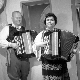 Хармонико, моја друго