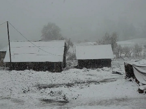 Снег на југозападу Србије, забелели се Пештер и Златибор