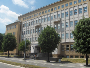 Осуђени припадници "шакала", Миладиновићу 20 година затвора