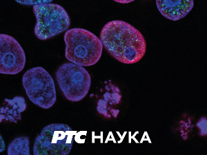 Сасвим природно: Стара планина, Тимок, Заглавак, Буџак  4.део