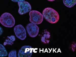 Декодирање науке: Љубомора