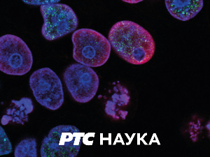 Наука 2023: Неуронауке