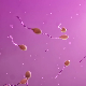 Високи нивои хербицида пронађени у више од половине узорака сперме, открива истраживање