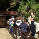 Ресавска пећина –  бисер који је природа вајала 80 милиона година, посети 50.000 туриста годишње