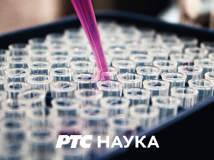 (Не)обично о биљкама: Биљке у народној поезији 4-10