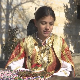 Родославци: Павлина
