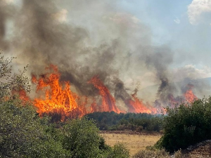 Високе температуре и јак ветар распламсали пожаре на Пелопонезу, погинула једна особа