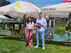 Шареница: И овај камен земље Србије