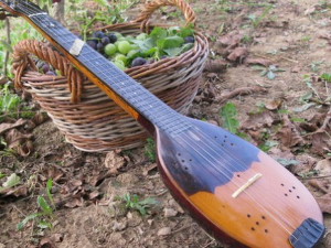 Традиционални инструменти у Босни и Херцеговини