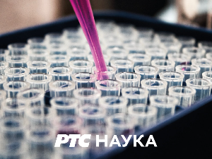 Психологија раног детињства: Упијајући ум