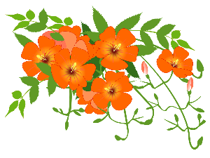 Добро јутро децо: Радио Невен 38