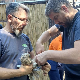  У Крагујевцу нови студијски програм - руковалац опасним животињама