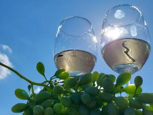 Око магазин-25.7.2022. Вино и земља где вечно Сунце сја
