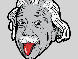 Слободна зона: Ајнштајн, књига