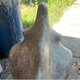 МУП: Враћена украдена статуа "Делфин" процењене вредности 45.000 евра
