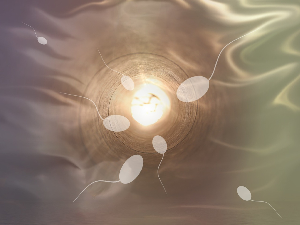 Научници открили везу између квалитета сперме и броја килограма