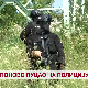 Поново пуцао на полицију