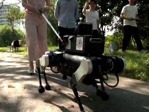 Роботизован пас – водич за слепе ради све кô и прави, а препознаје и светла на семафору