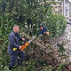 Летња олуја харала и по региону – двоје страдало у Црној Гори, поплављене  улице, ишчупана стабла