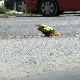 Данас сахрана убијеног полицајца, Дан жалости у Лозници