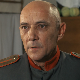 Јагодићи