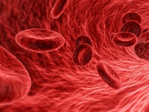 У Јапану почињу тестирање вештачких црвених крвних зрнаца