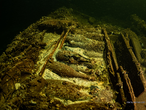 Пронађена олупина брода из 19. века пуна неотворених боца шампањца за краљевске трпезе 