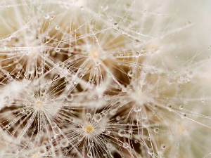 Имагинарни пејзажи