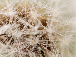 Имагинарни пејзажи