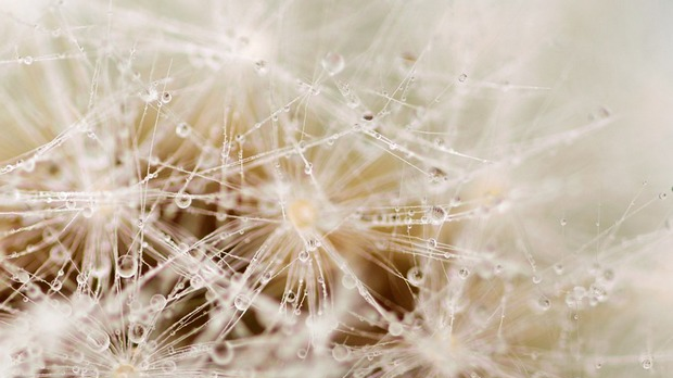 Имагинарни пејзажи