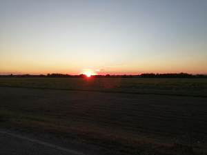 Јутарњи програм из три студија