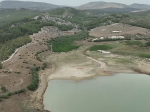 Незапамћена суша на Сицилији - сточари убијају животиње због несташице хране и воде