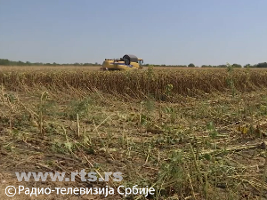 Екстремна суша у целој земљи