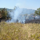 Ватрогасци и мештани обуздали пожар у прокупачком насељу Соколица