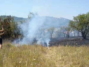 Ватрогасци и мештани обуздали пожар у прокупачком насељу Соколица