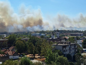 Велики пожар у околини Кладова, горе ниско растиње и пољопривредне културе