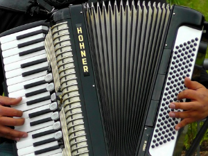 Свирај свирче - Хармоника