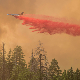 Пожар у Калифорнији, 6.000 ватрогасаца на терену