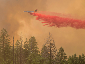 Пожар у Калифорнији, 6.000 ватрогасаца на терену