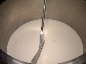 Министарство пољопривреде: Није тачно да укидамо премије за млеко