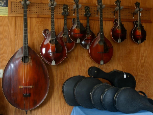 Мандолина у првом плану